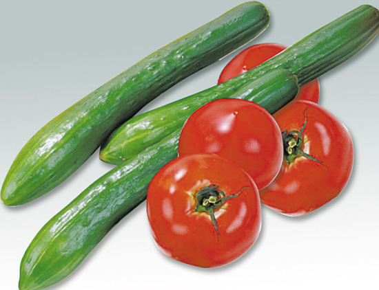 500平方番茄黃瓜保鮮庫建造，冷庫安裝設(shè)計技術(shù)