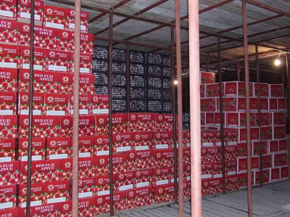 50噸蘋果冷庫建造,蘋果冷庫工程設計原則