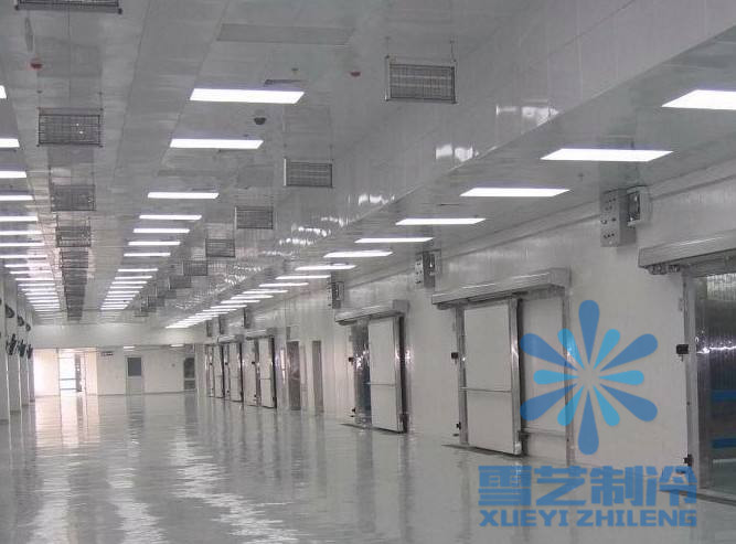   1000噸速凍冷庫價格多少錢？冷庫造價，1000噸速凍冷庫