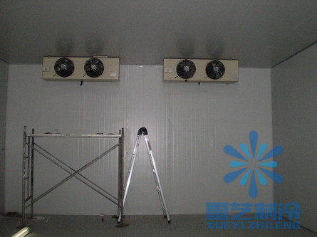 榴蓮保鮮冷庫建造，榴蓮保鮮庫設(shè)計(jì)安裝