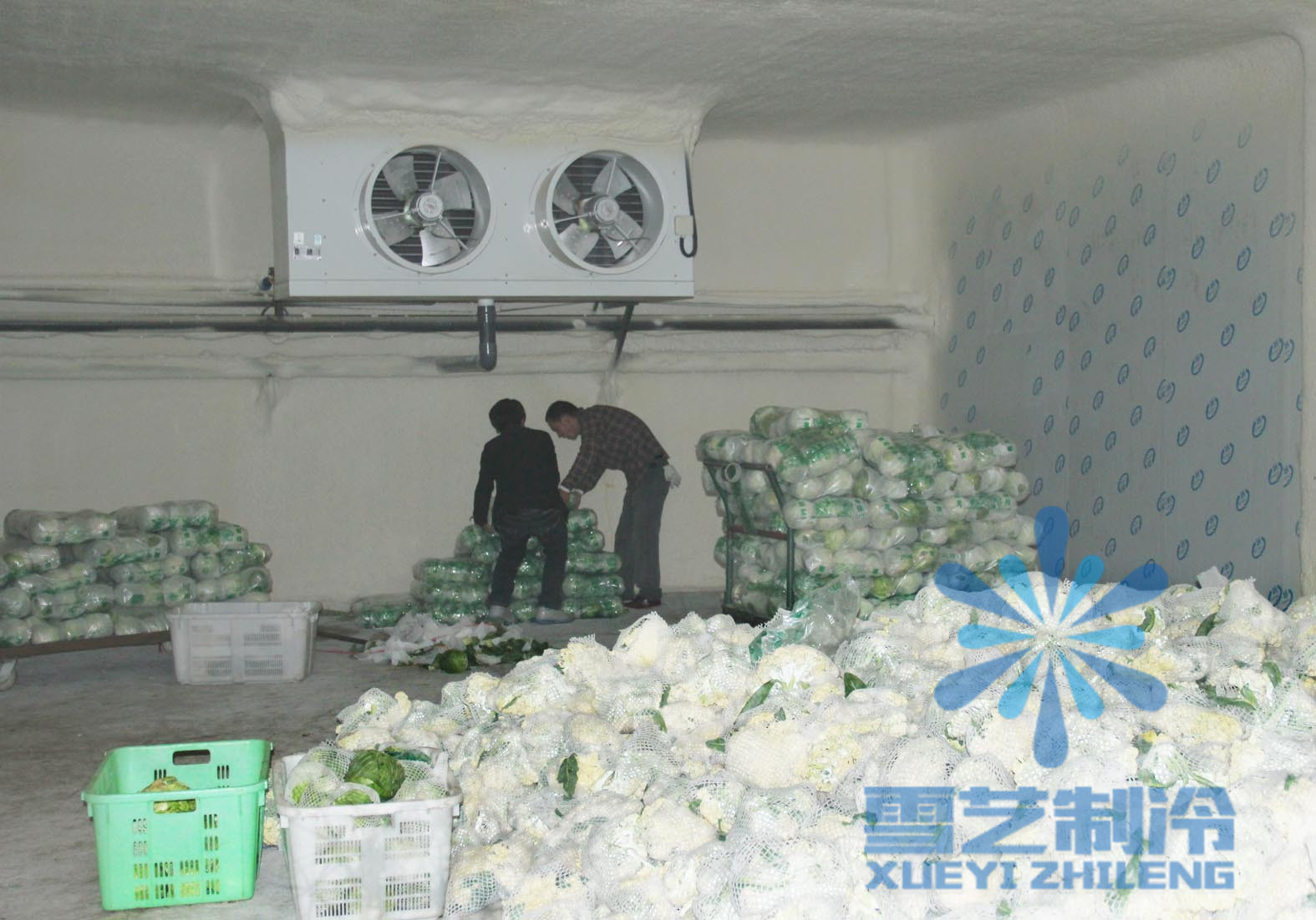 浙江蔬菜保鮮冷庫設計安裝,保鮮冷庫造價多少錢