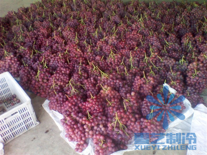 水果保鮮冷庫設計安裝，冷庫造價分析