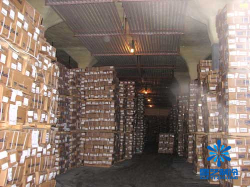 在上海建一個冷庫要多少錢？