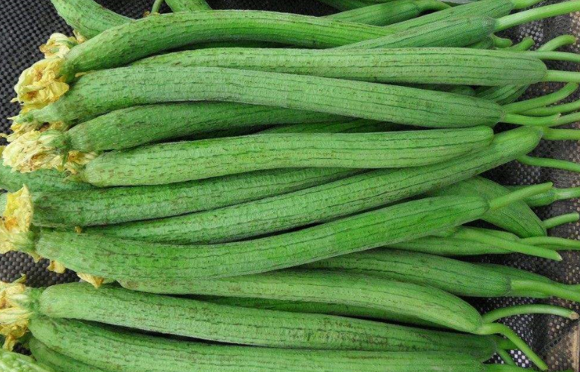 絲瓜冷庫(kù)，絲瓜保鮮方法