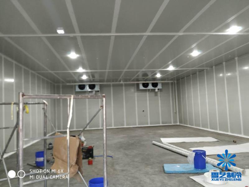 500平方氣調冷庫工程案例