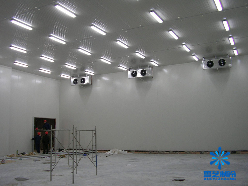 安裝一千平方米蔬菜保鮮冷庫造價多少?