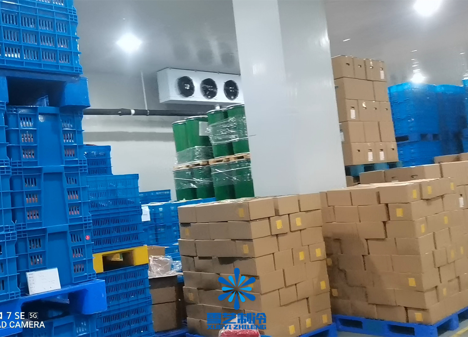 大型果蔬保鮮冷庫 大型果蔬保鮮冷庫