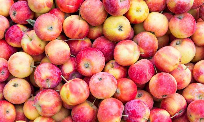 海棠果冷庫(kù) 海棠果冷庫(kù)