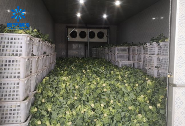 冷庫造價 冷庫造價