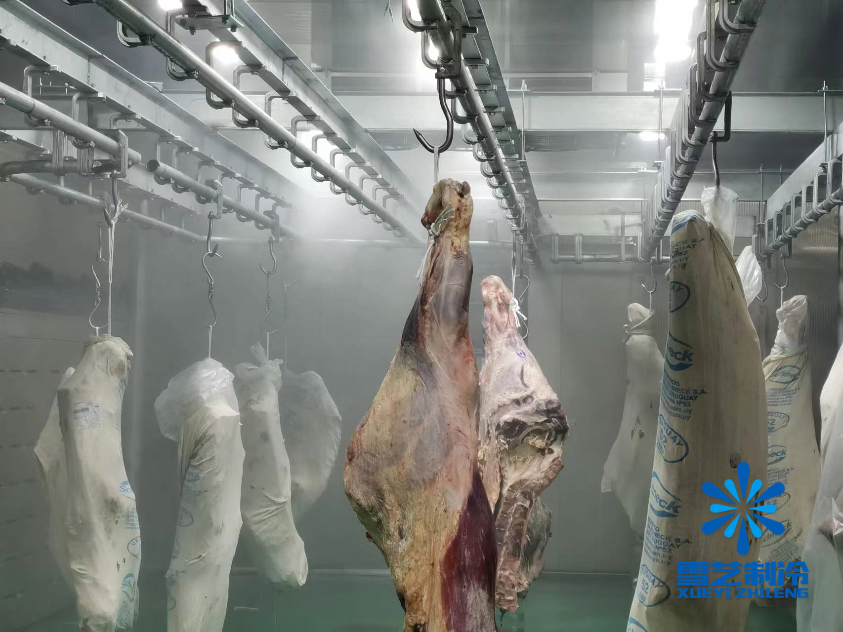 屠宰場冷庫安裝 屠宰場冷庫安裝