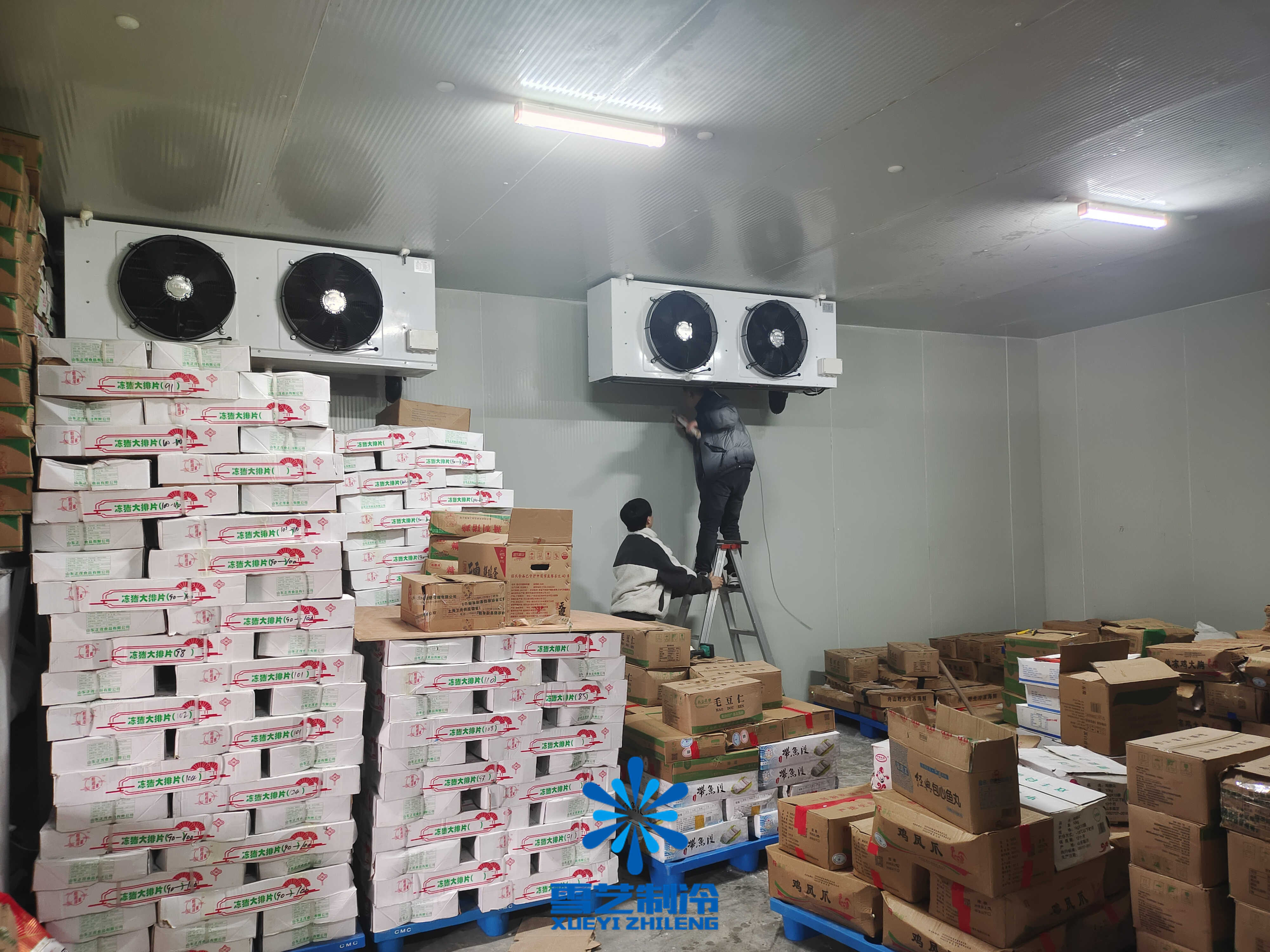 帶魚冷庫 帶魚冷庫