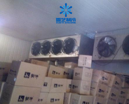 雪藝制冷專(zhuān)業(yè)冷庫(kù)安裝