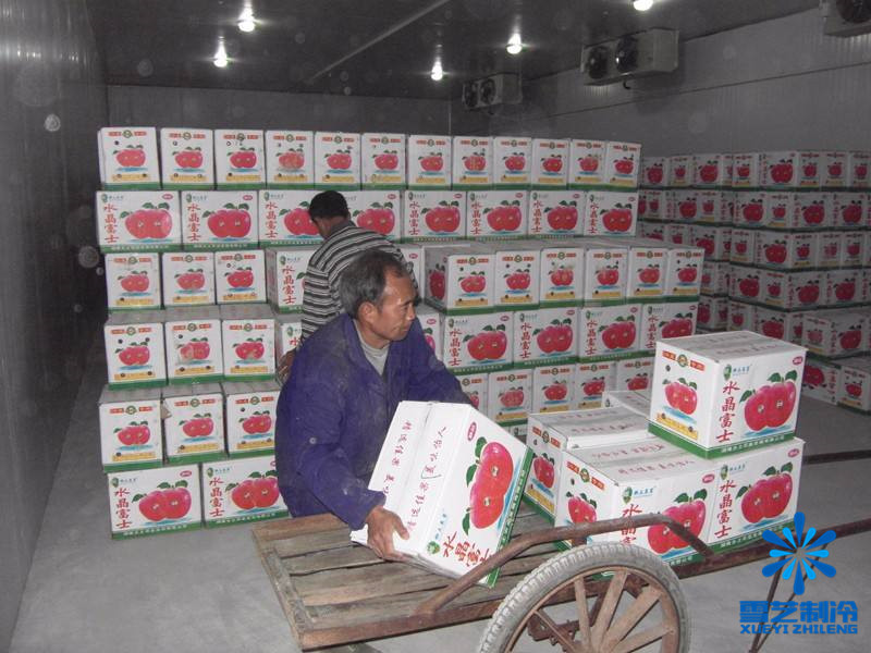 蘋(píng)果冷庫(kù)