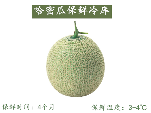 哈密瓜冷庫(kù)