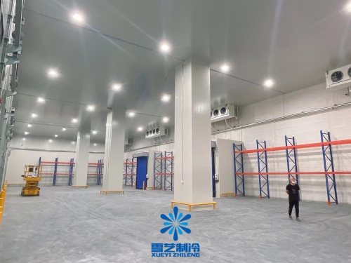 建設(shè)一個(gè)大型冷庫(kù)造價(jià)投資成本多少錢(qián)？